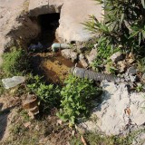 โครงการน้ำดีไล่น้ำเสีย