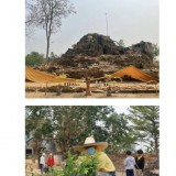 กิจกรรมภายใต้โครงการอนุรักษ์พันธุกรรมพืชอันเนื่องมาจากพระราชดำริ สมเด็จพระเทพรัตนราชสุดาฯ สยามบรมราชกุมารี 