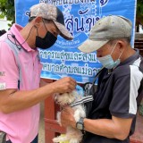 เทศบาลตำบลแม่อาย จัดโครงการ สัตว์ปลอดโรค คนปลอดภัย จากโรคพิษสุนัขบ้า ประจำปี 2564