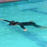 โครงการพัฒนาครู ครูผู้ดูแลเด็ก/ผู้ดูแลเด็ก ประจำปี 2561