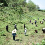 เทศบาลตำบลแม่อายระดมทุกภาคส่วนร่วมเสวนา "วิถีชีวิต คนและป่า ณ ห้วยดีหมี" 