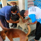 เทศบาลตำบลแม่อายออกพื้นที่ให้บริการฉีดวัคซีนป้องกันโรคพิษสุนัขบ้า ประจำปี ๒๕๖๓ 