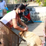 เทศบาลตำบลแม่อายออกพื้นที่ให้บริการฉีดวัคซีนป้องกันโรคพิษสุนัขบ้า ประจำปี ๒๕๖๓ 