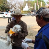 โครงการรณรงค์และป้องกันโรคพิษสุนัขบ้า ประจำปีงบประมาณ 2560
