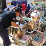 โครงการรณรงค์และป้องกันโรคพิษสุนัขบ้า ประจำปีงบประมาณ 2560