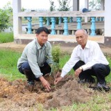 โครงการปลูกต้นไม้เพิ่มพื้นที่สีเขียวในเขตเทศบาลตำบลแม่อาย