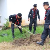 โครงการปลูกต้นไม้เพิ่มพื้นที่สีเขียวในเขตเทศบาลตำบลแม่อาย