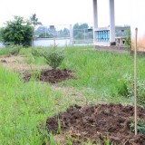 โครงการปลูกต้นไม้เพิ่มพื้นที่สีเขียวในเขตเทศบาลตำบลแม่อาย