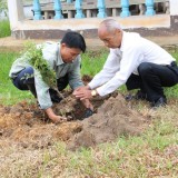 โครงการปลูกต้นไม้เพิ่มพื้นที่สีเขียวในเขตเทศบาลตำบลแม่อาย