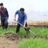 โครงการปลูกต้นไม้เพิ่มพื้นที่สีเขียวในเขตเทศบาลตำบลแม่อาย