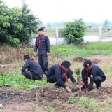 โครงการปลูกต้นไม้เพิ่มพื้นที่สีเขียวในเขตเทศบาลตำบลแม่อาย