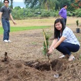 โครงการปลูกต้นไม้เพิ่มพื้นที่สีเขียวในเขตเทศบาลตำบลแม่อาย