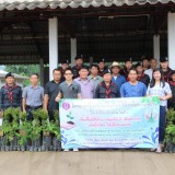 โครงการปลูกต้นไม้เพิ่มพื้นที่สีเขียวในเขตเทศบาลตำบลแม่อาย