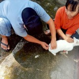 รณรงค์ฉีดวัคซีนป้องกันโรคพิษสุนัขบ้า ประจำปีงบประมาณ พ.ศ. 2568 
