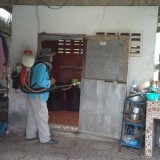 โครงการรณรงค์ป้องกันโรคไข้เลือดออกและโรคติดต่ออื่น ๆ 2559