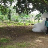 โครงการรณรงค์ป้องกันโรคไข้เลือดออกและโรคติดต่ออื่น ๆ 2559