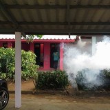 โครงการรณรงค์ป้องกันโรคไข้เลือดออกและโรคติดต่ออื่น ๆ 2559