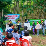 กิจกรรม "เยาวชนคนรักษ์ป่า ณ ห้วยดีหมี"